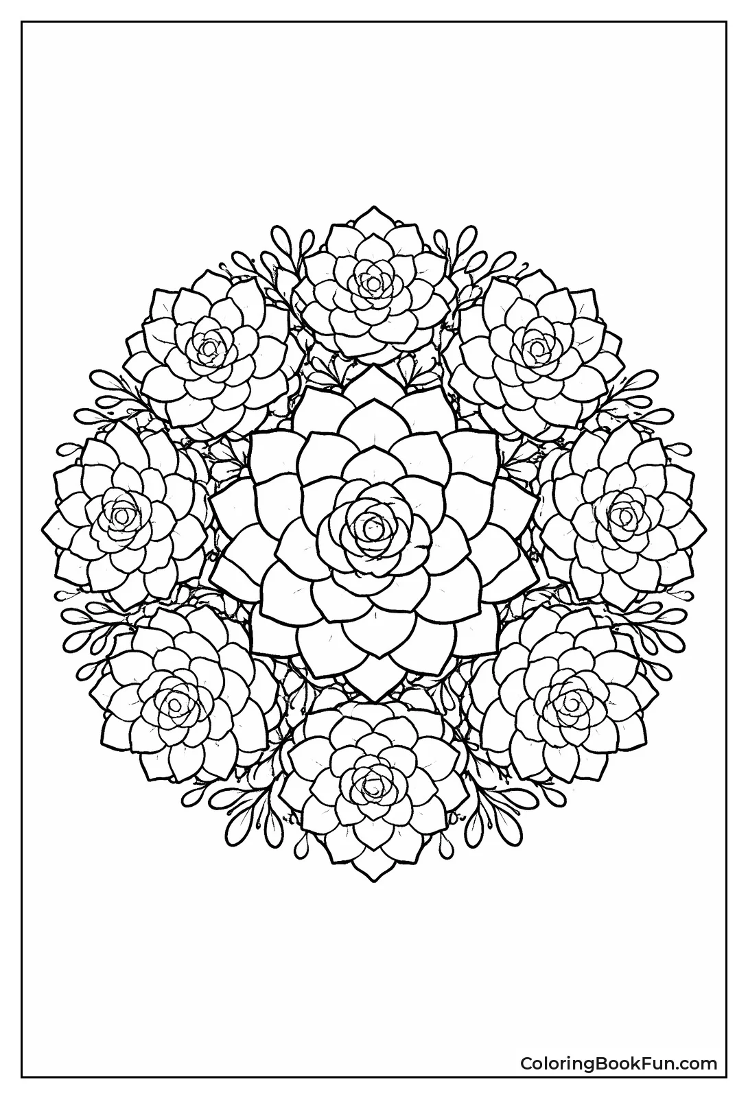 Succulents Build Circle Mandala