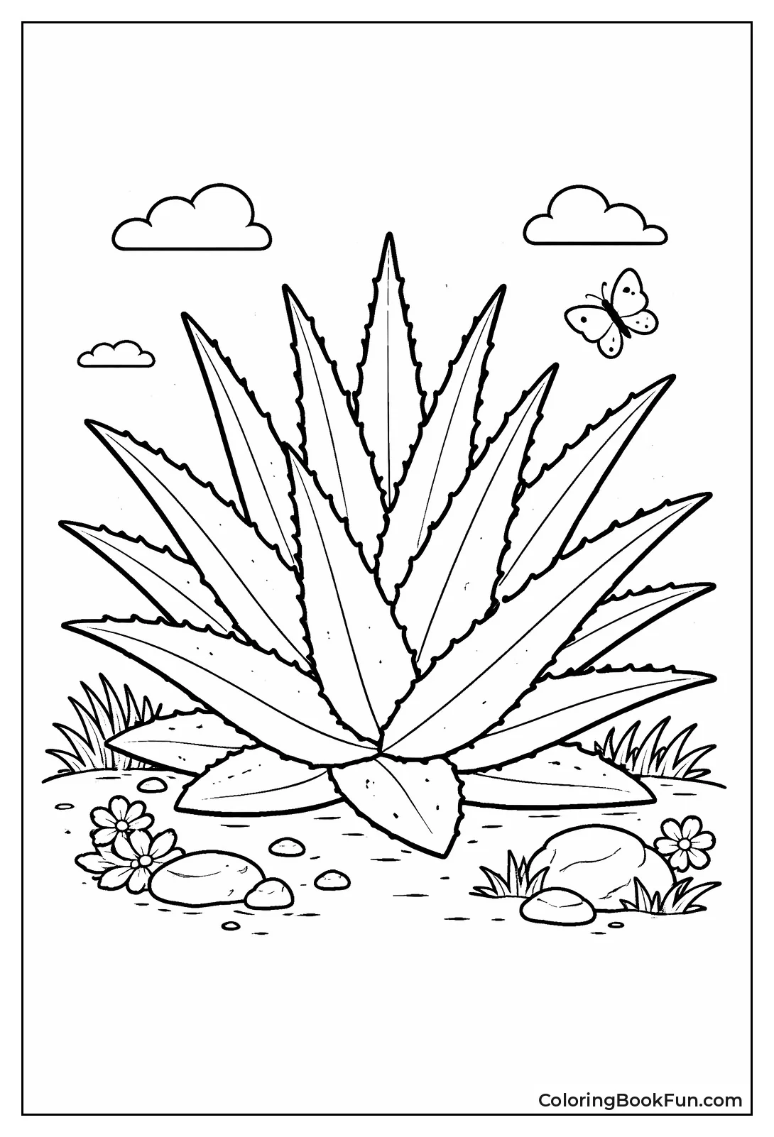 Aloe Leaves Spike Outward