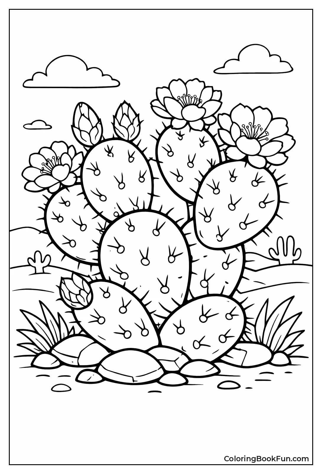 Prickly Pear Cactus with Flowers