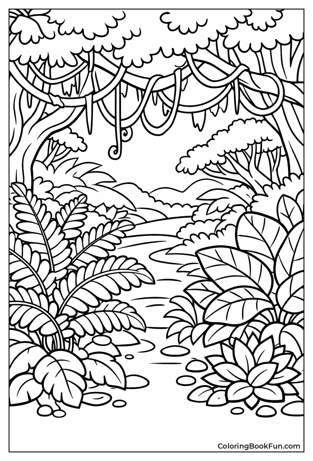 Ferns Cover Rainforest Floor