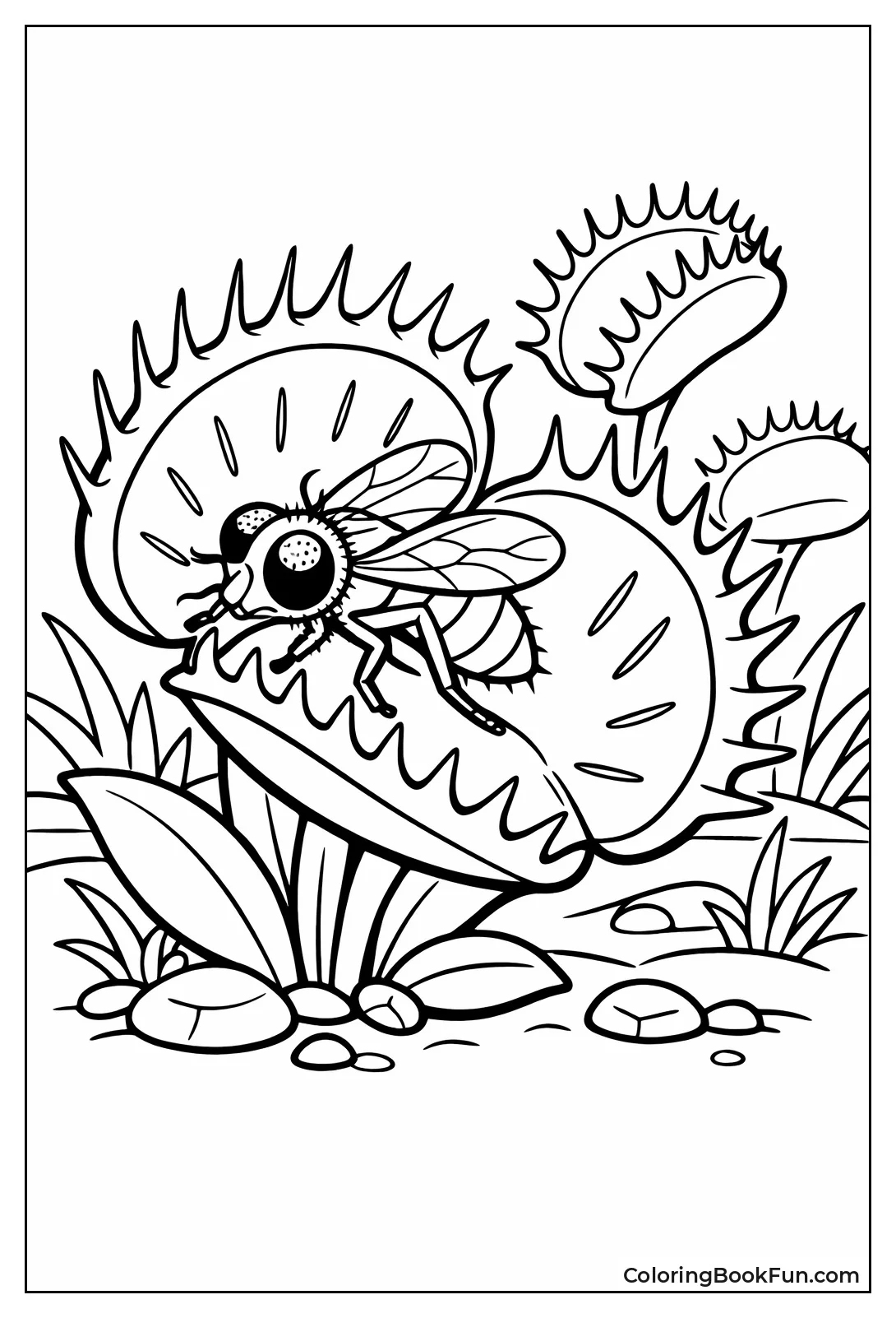 Venus Flytrap Snaps at Fly