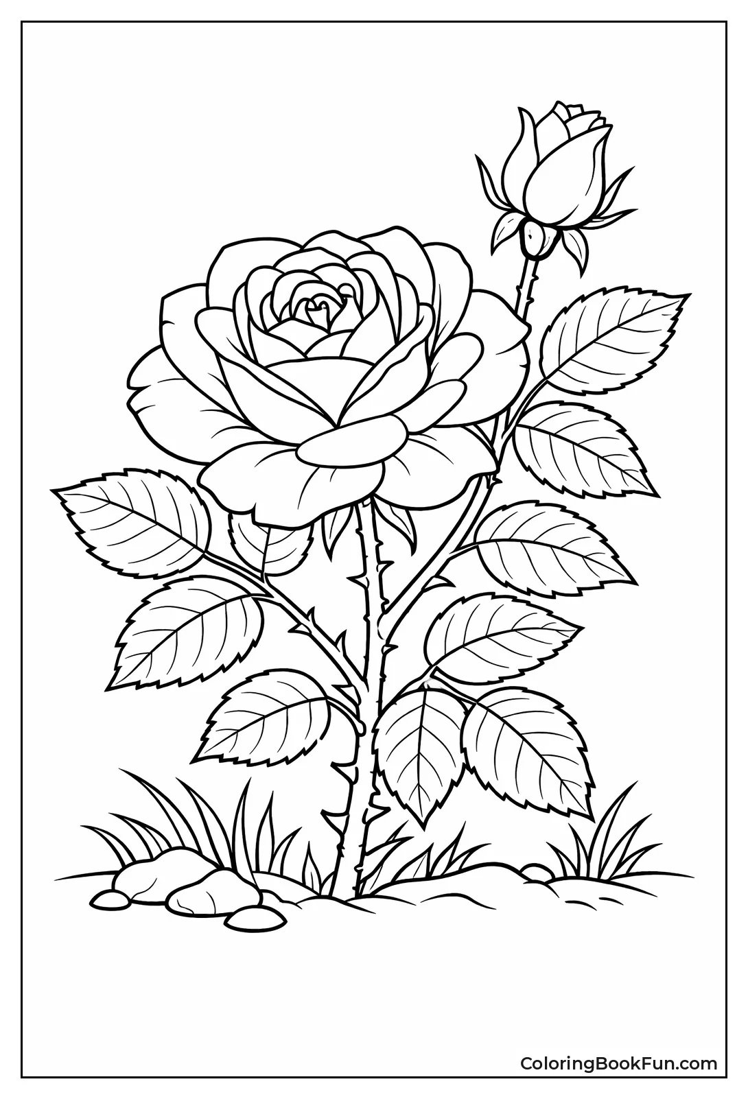 Vintage Rose Shows Thorns