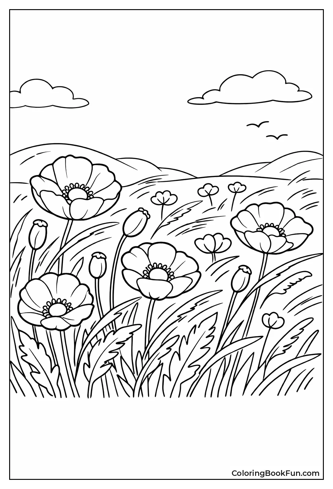 Poppies Dance in Wild Meadow