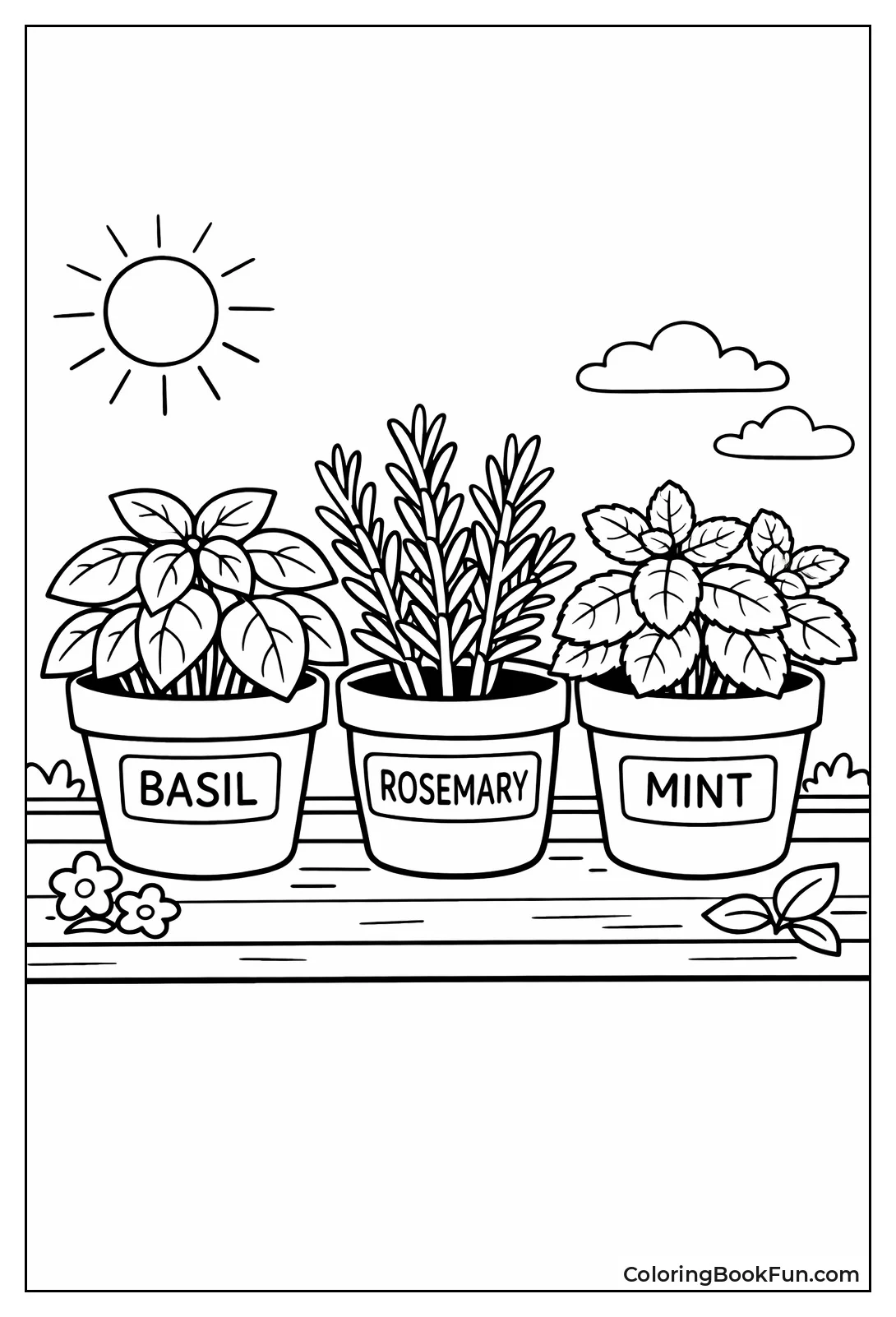 Herbs Grow on Sunny Ledge