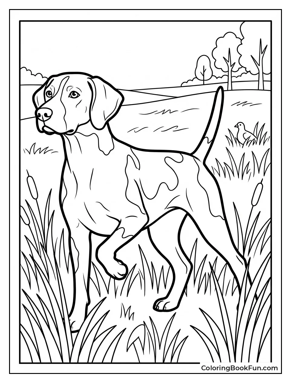 Pointing Hunting Dog