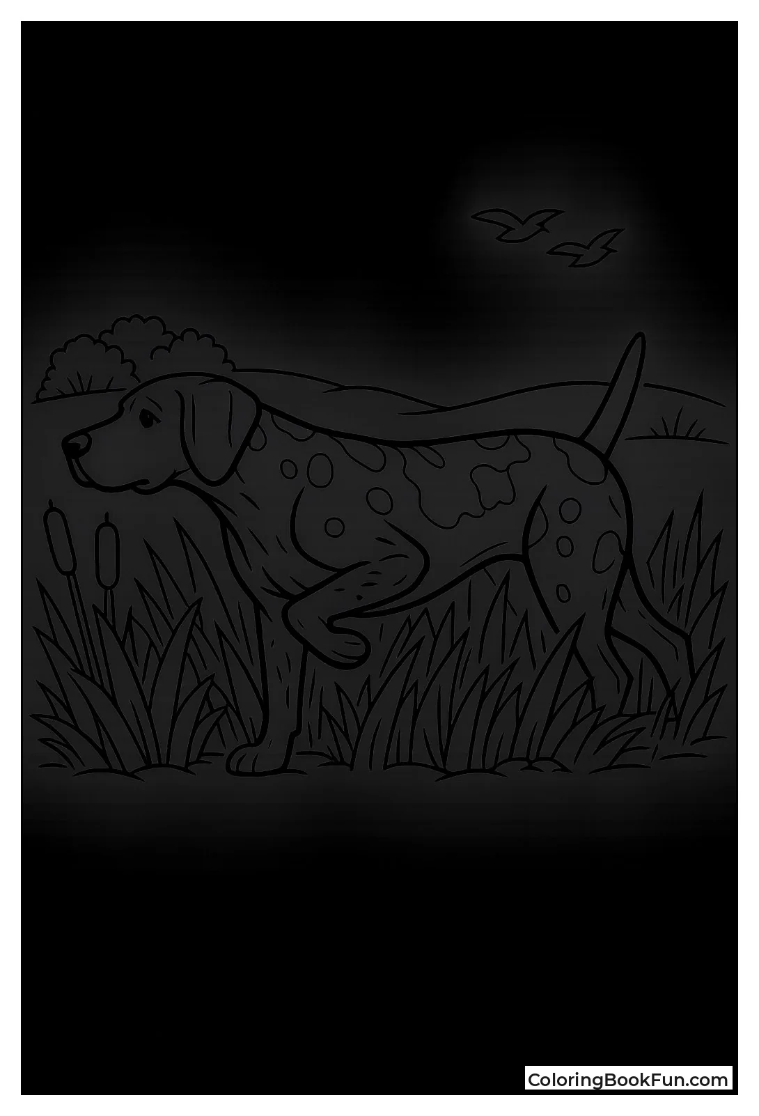 Hunting Dog on Point