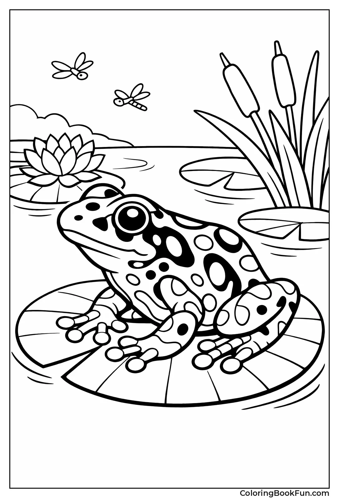 Poison Dart Frog Shows Spots