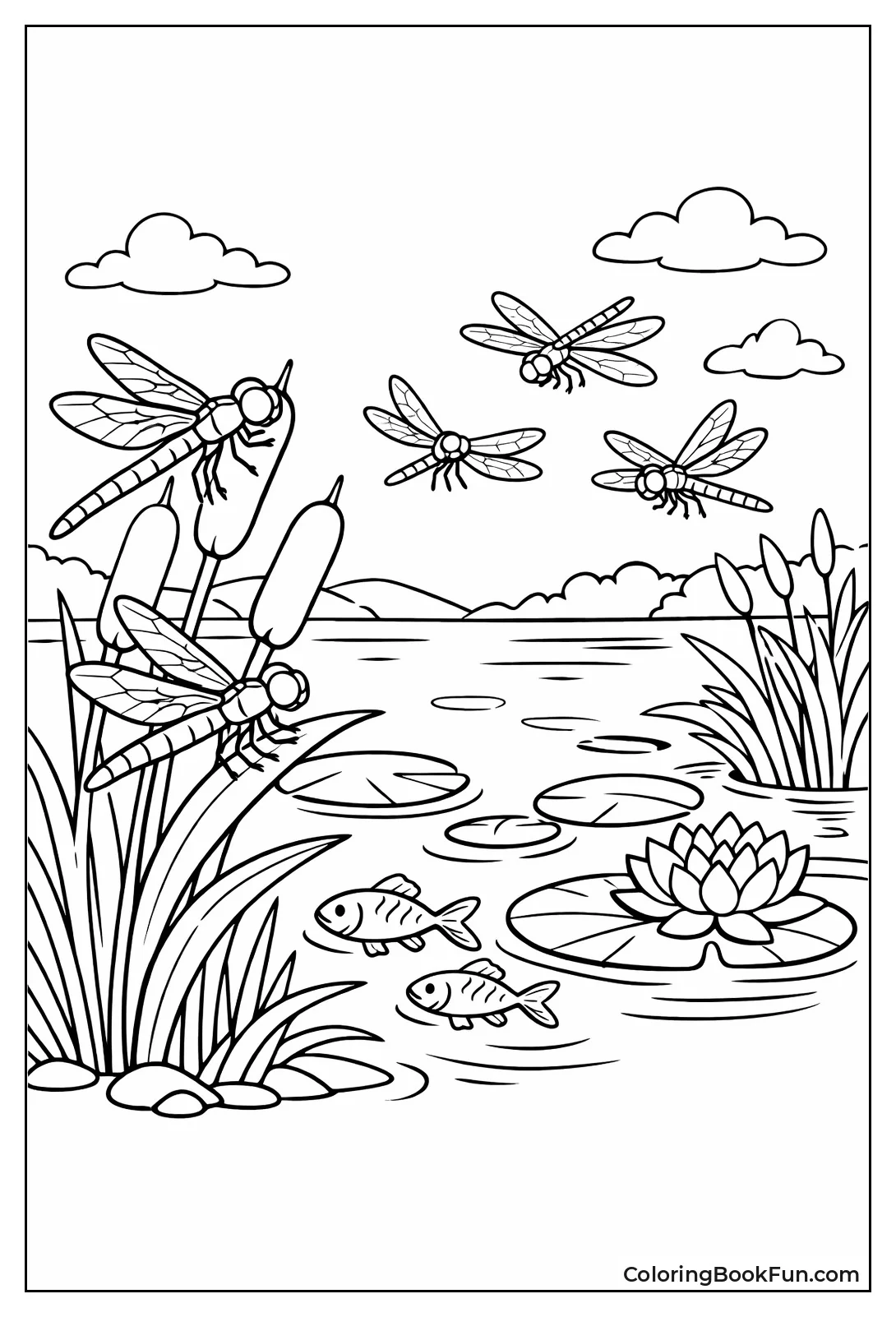 Dragonflies Hover Pond Surface