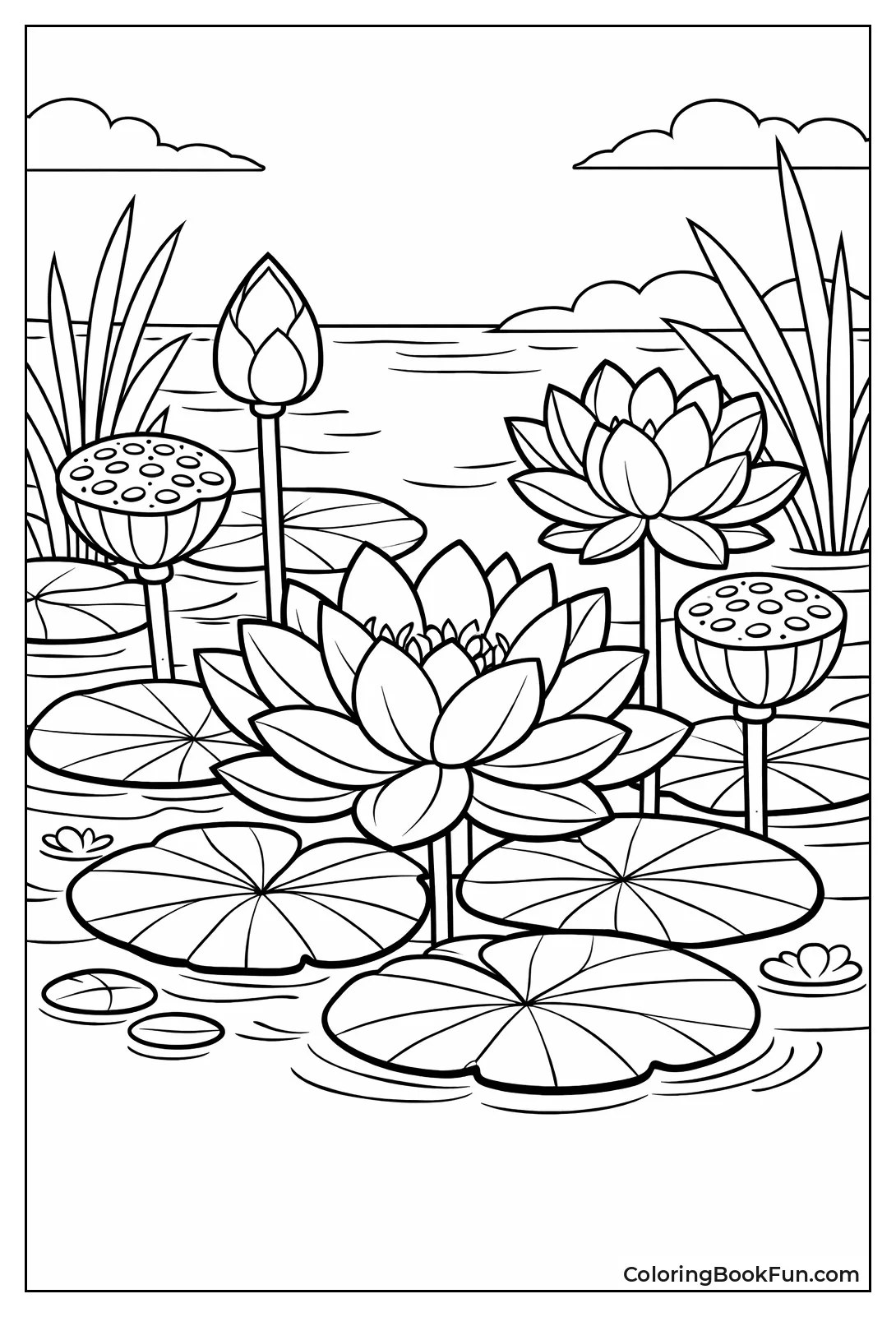 Lotus Flowers Rise Pond