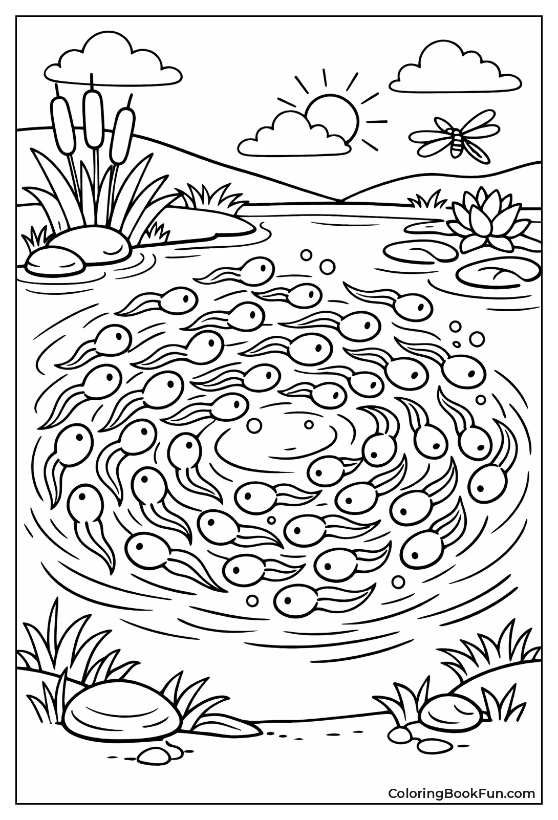 Tadpoles Swirl Spring Pond