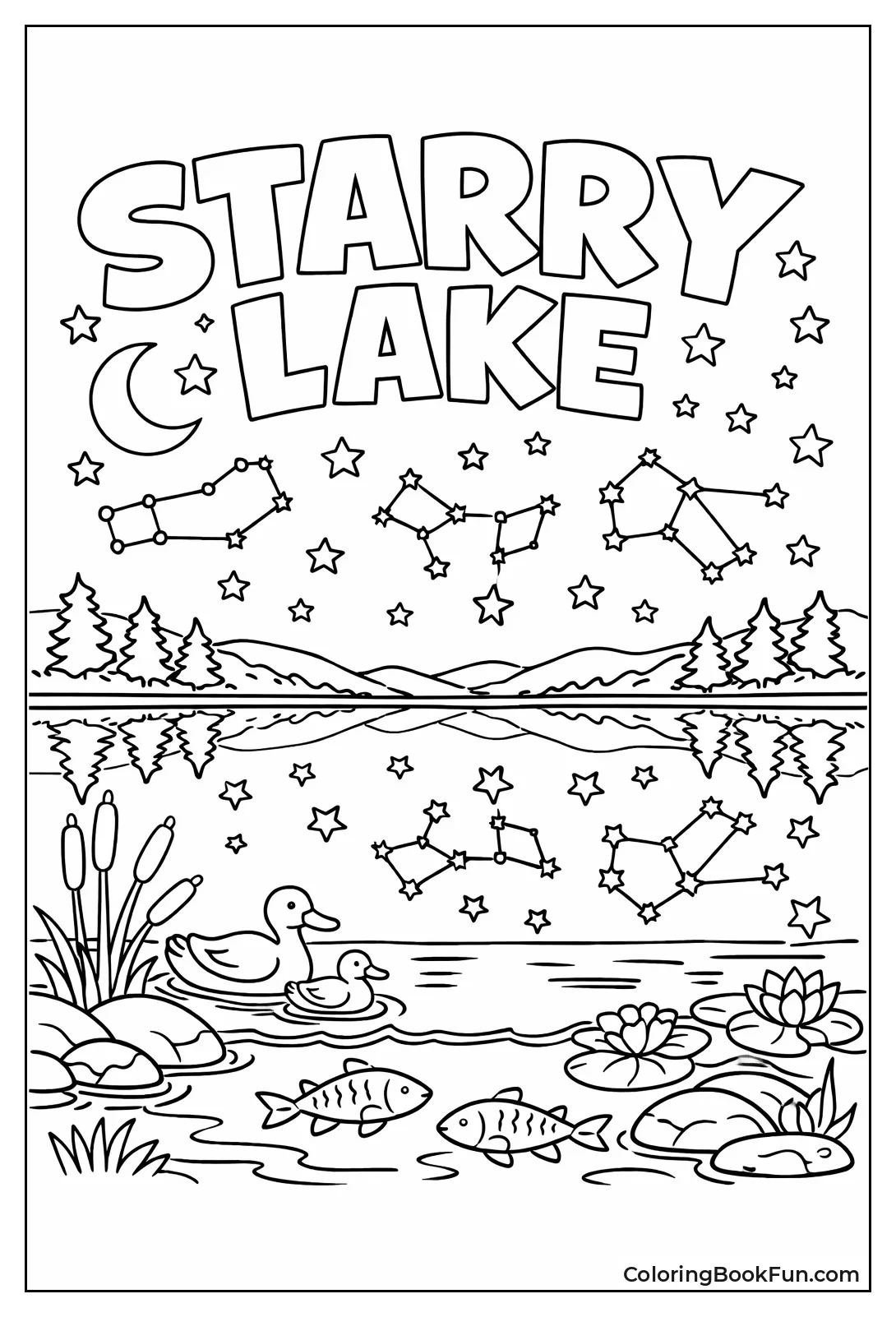 Stars Reflect Night Lake