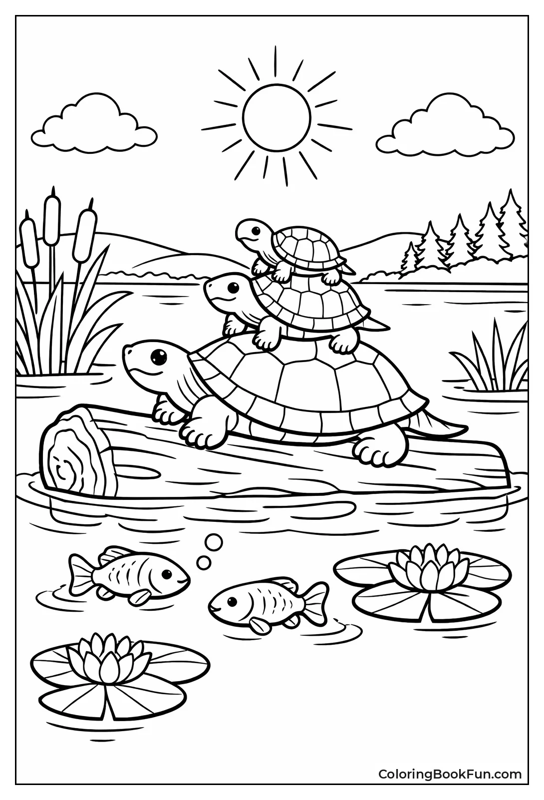 Turtles Sunbathe on Log