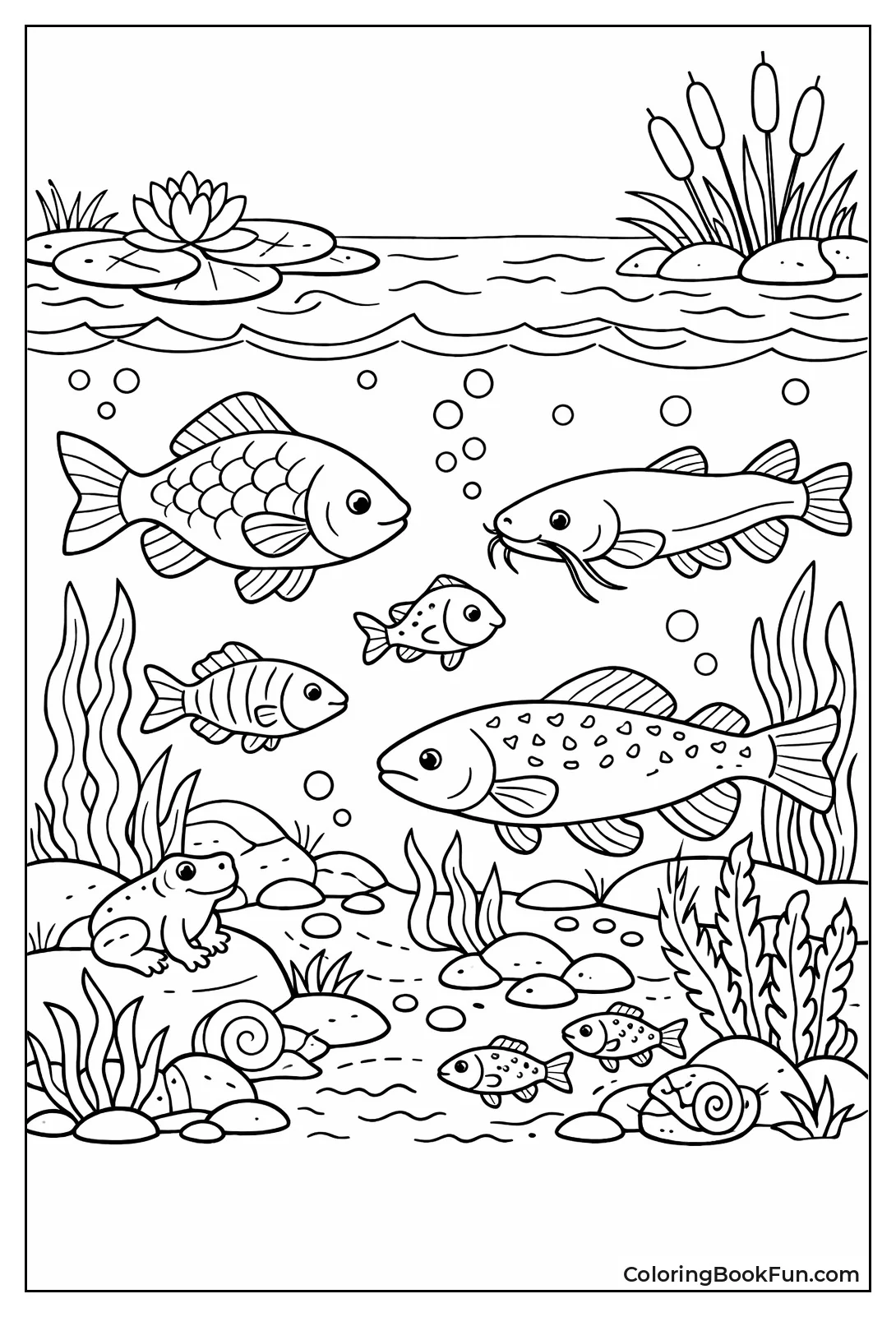 Fish School under Pond