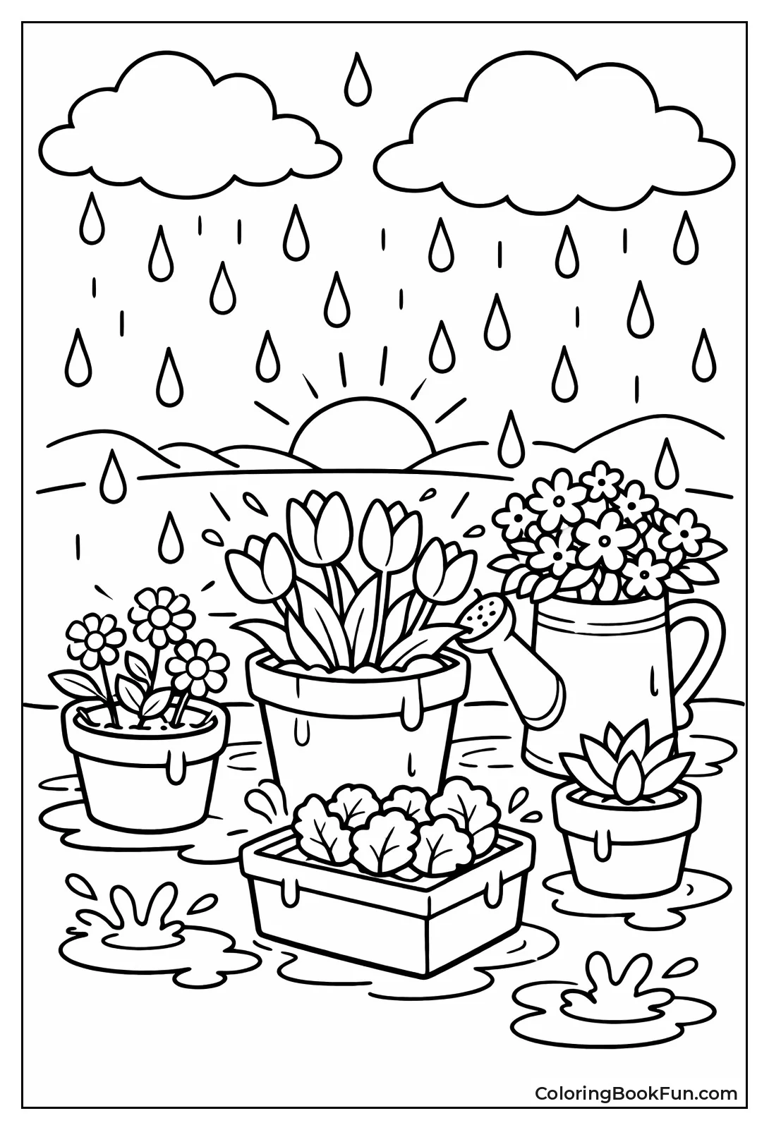 Potted Flowers Catch Rain