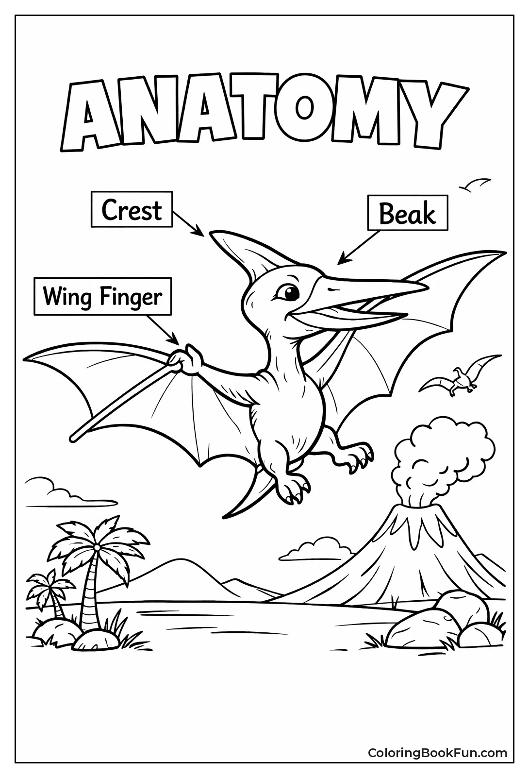 Pterodactyl Anatomy with Labels