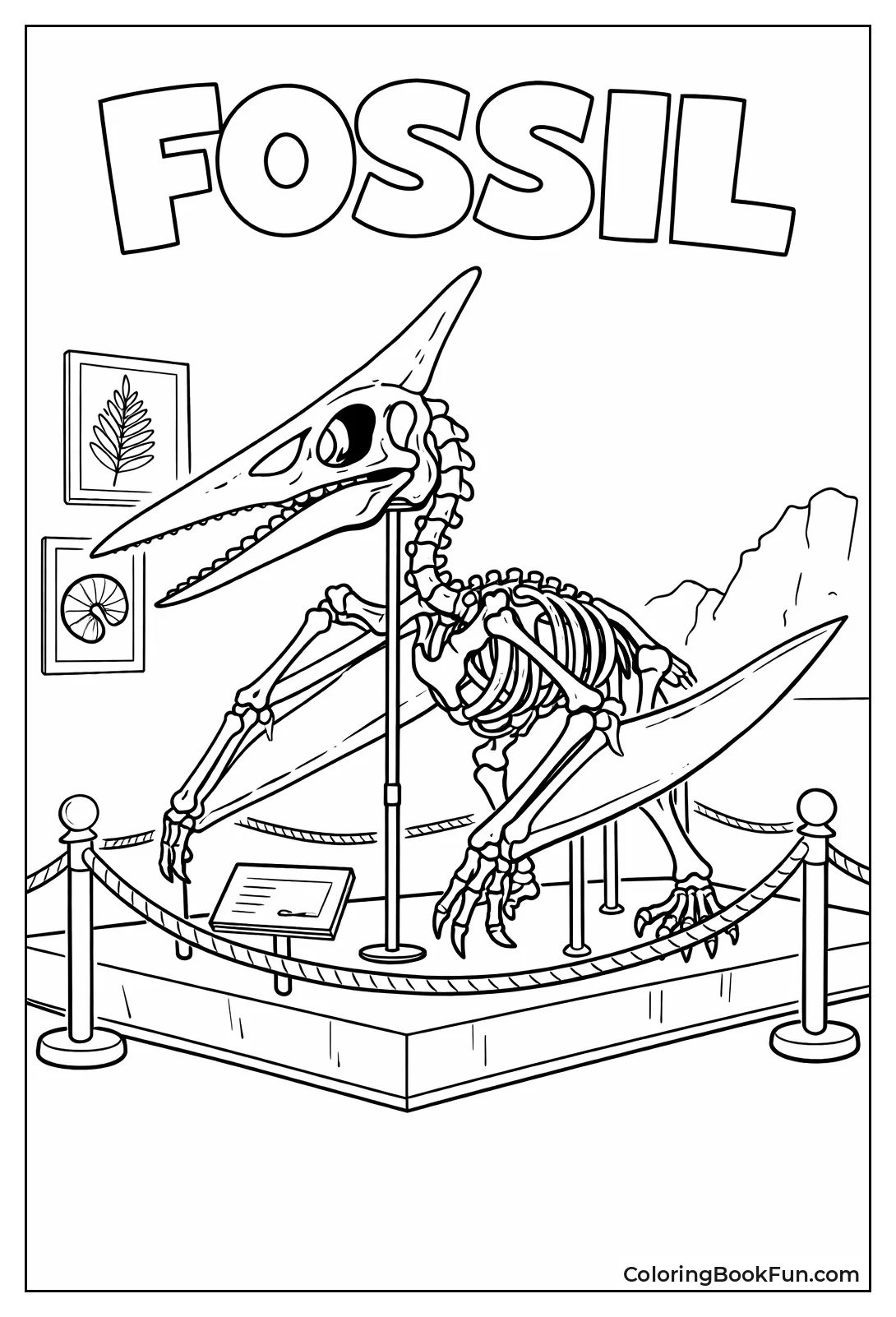 Pterodactyl Skeleton Fossil