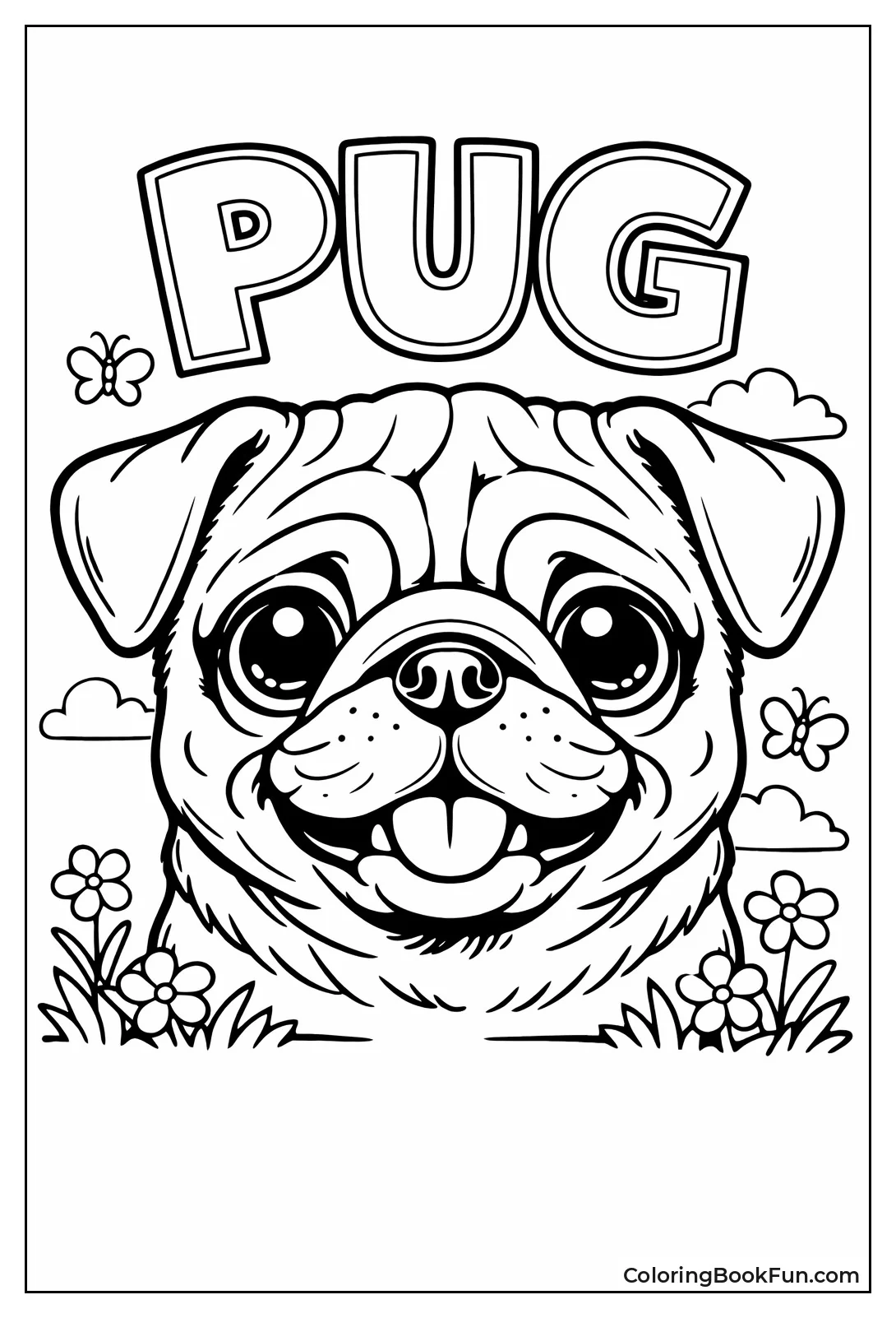 Wrinkly Pug Face Closeup