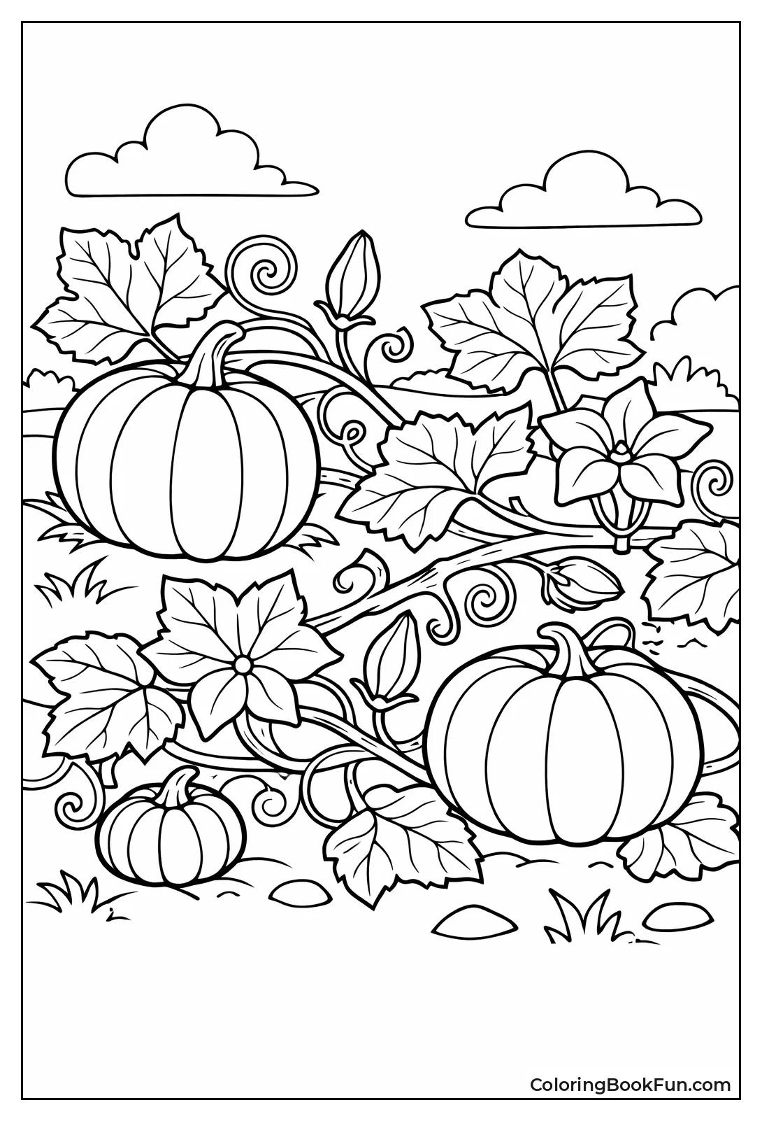 Pumpkin Vine with Orange Gourds