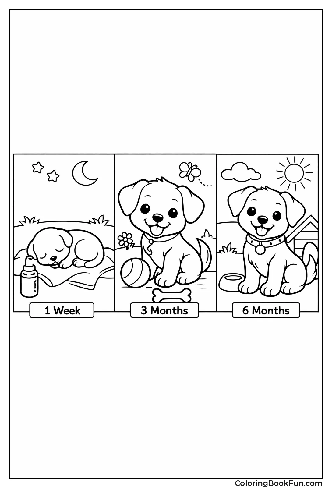 Puppy Growing from Week to Months