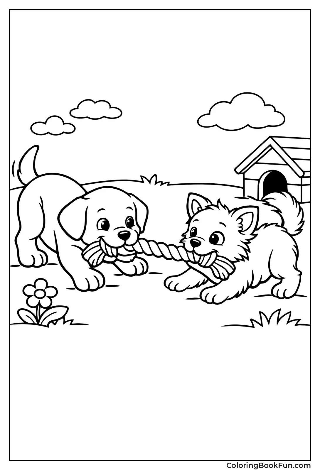 Puppies Playing Tug-of-War