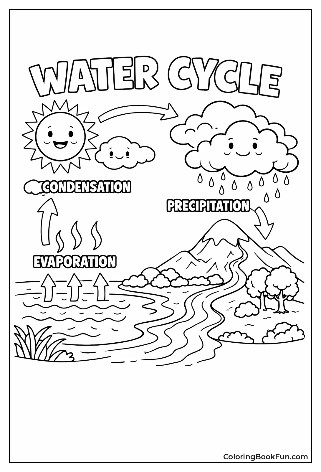 Water Cycle Shows Rain