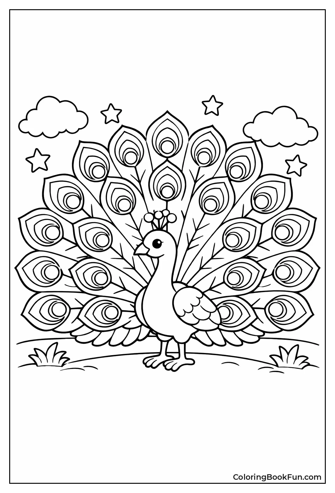 Peacock Fans Rainbow Tail