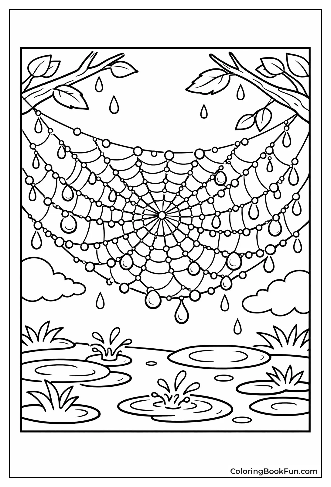Raindrops Cover Spiderweb
