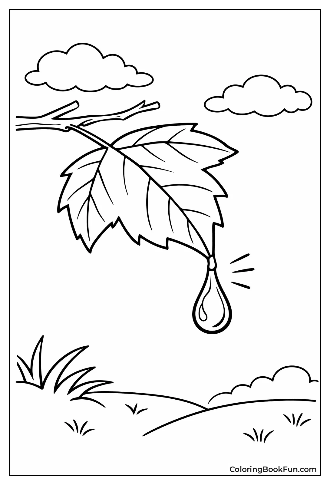 Raindrop on Twig Leaf