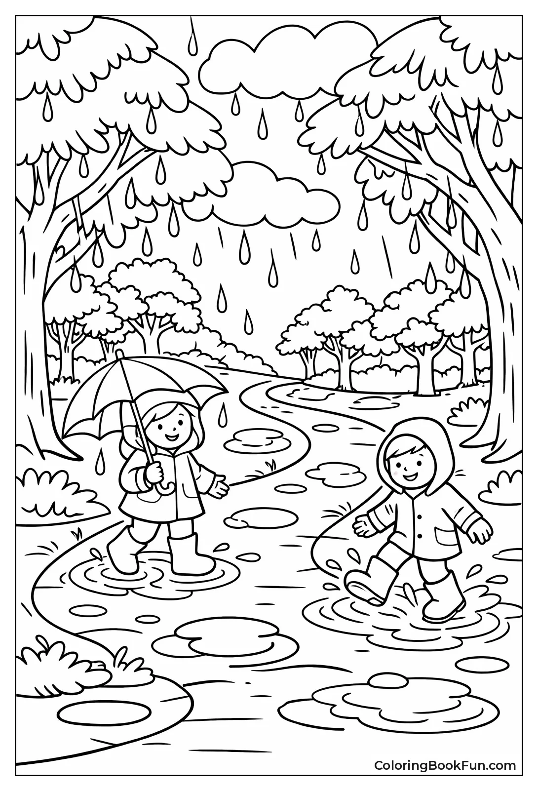 Wet Forest Trail Walk