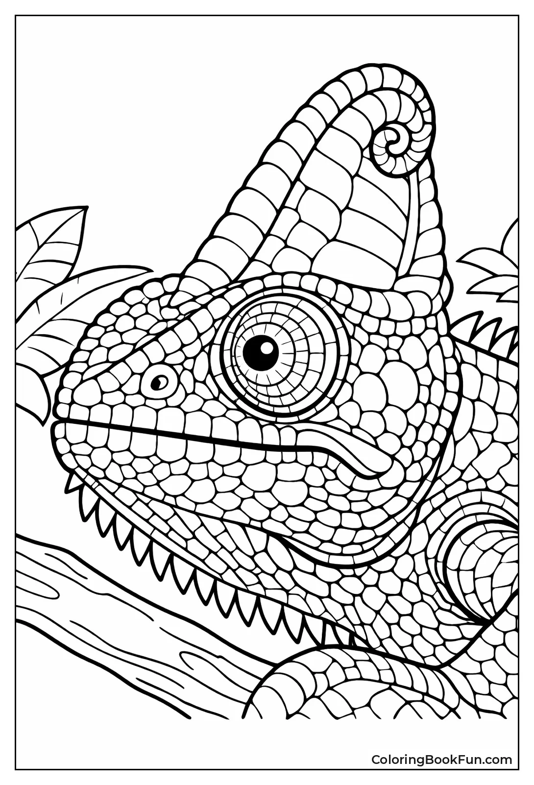 Detailed Veiled Chameleon Portrait