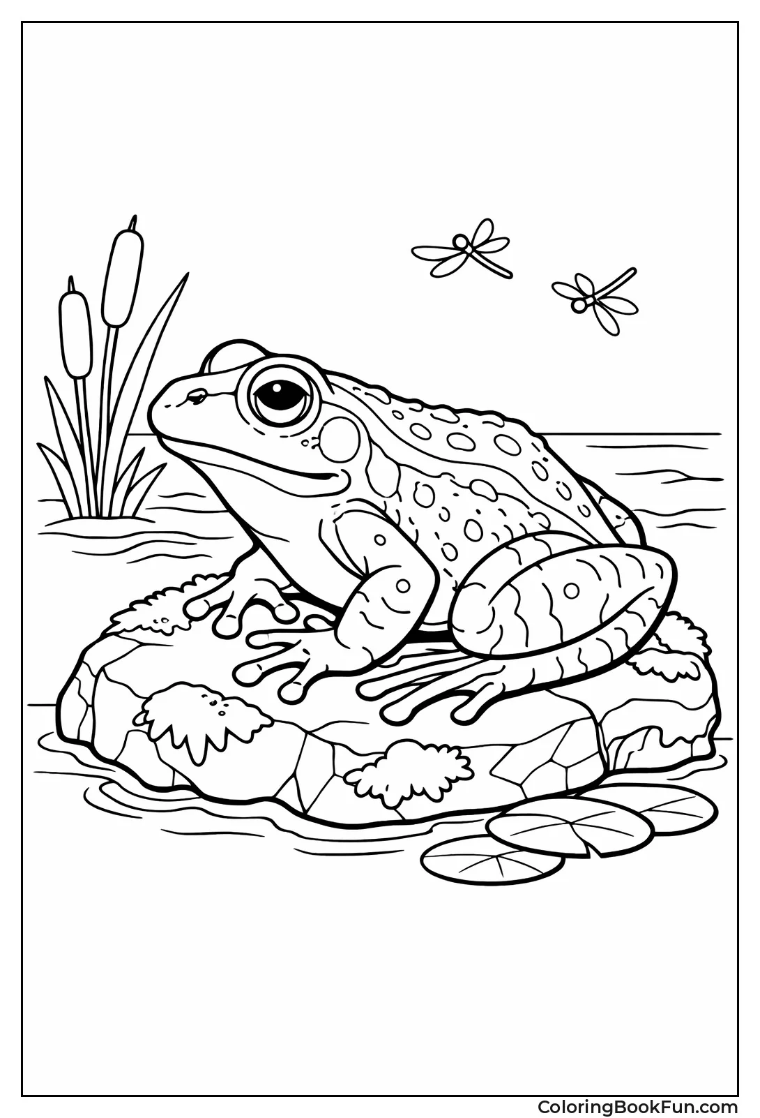 Realistic Frog on Mossy Rock