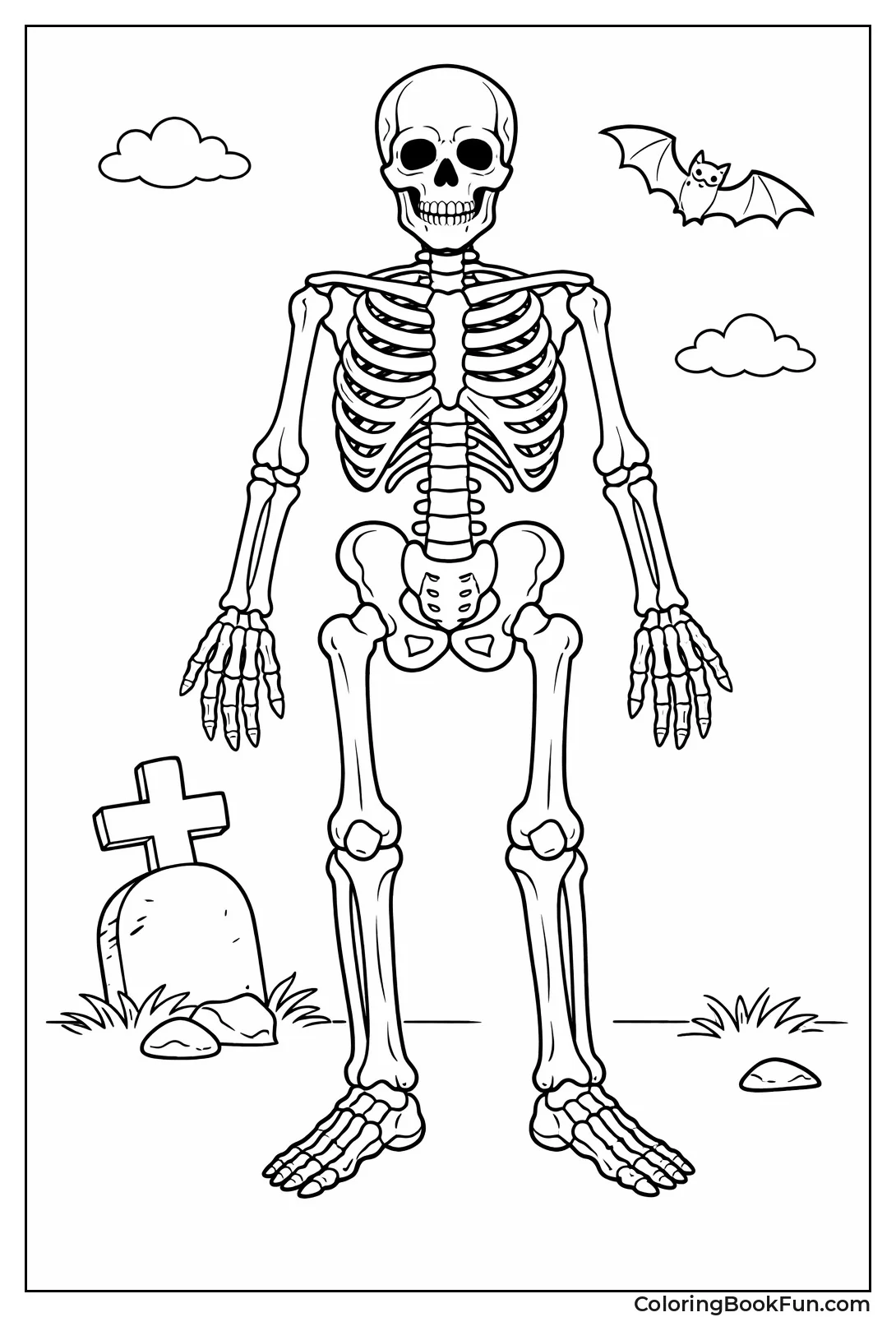 Realistic Detailed Human Skeleton