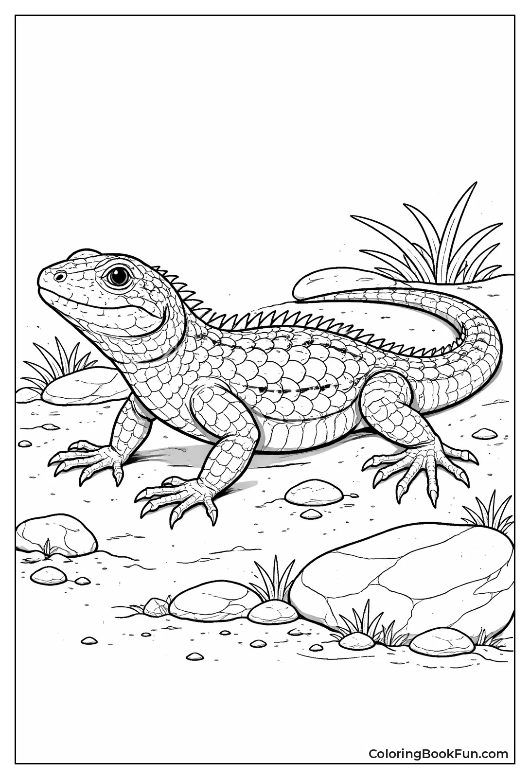 Realistic Lizard Stands on Fours