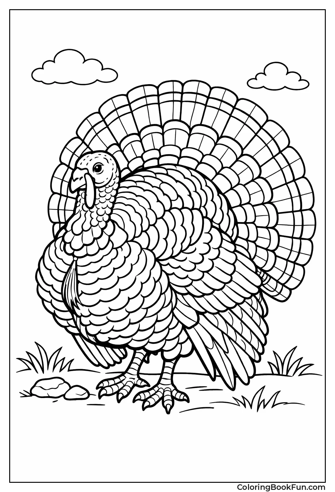 Realistic Wild Turkey