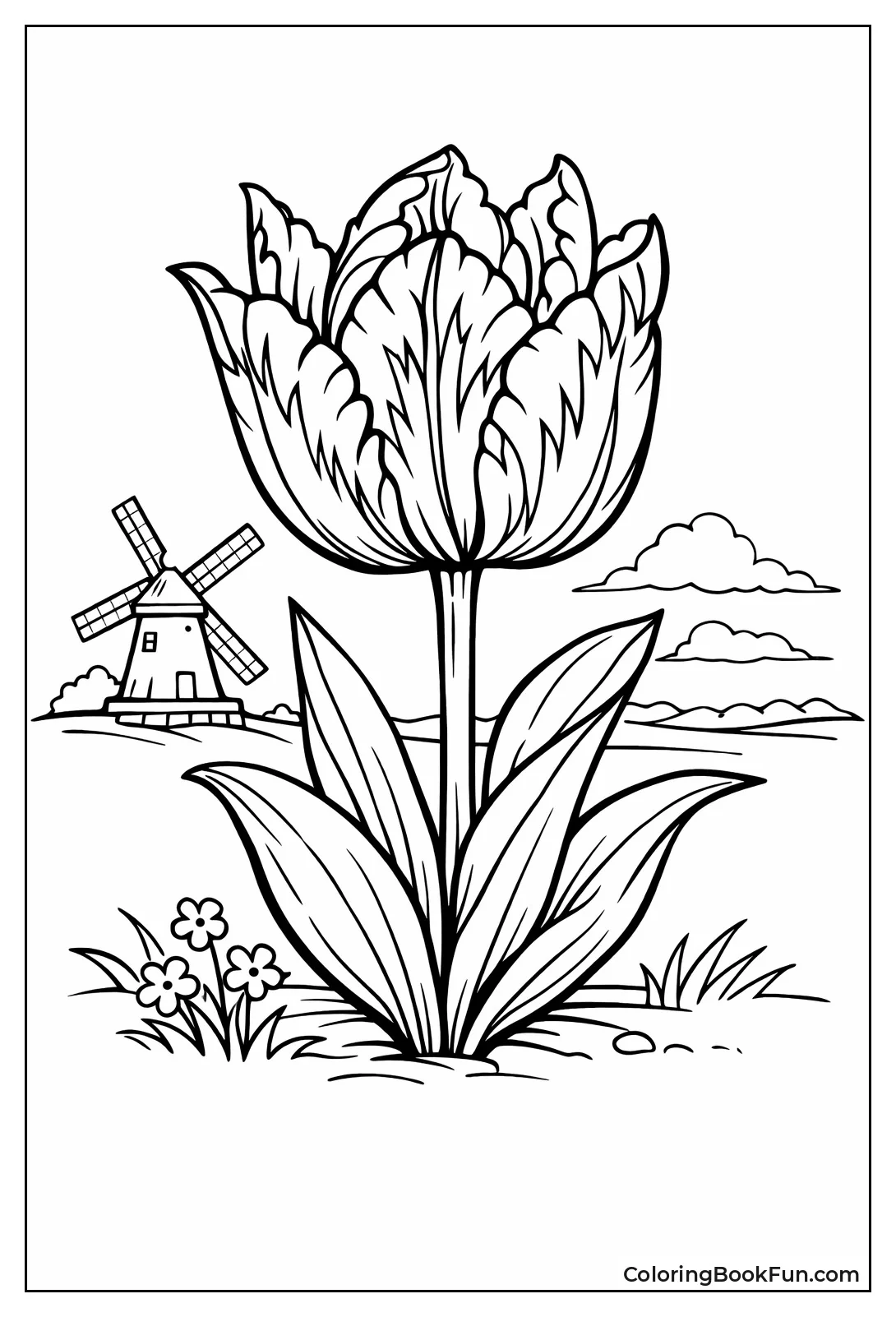 Flamed Rembrandt Bi-Color Tulip