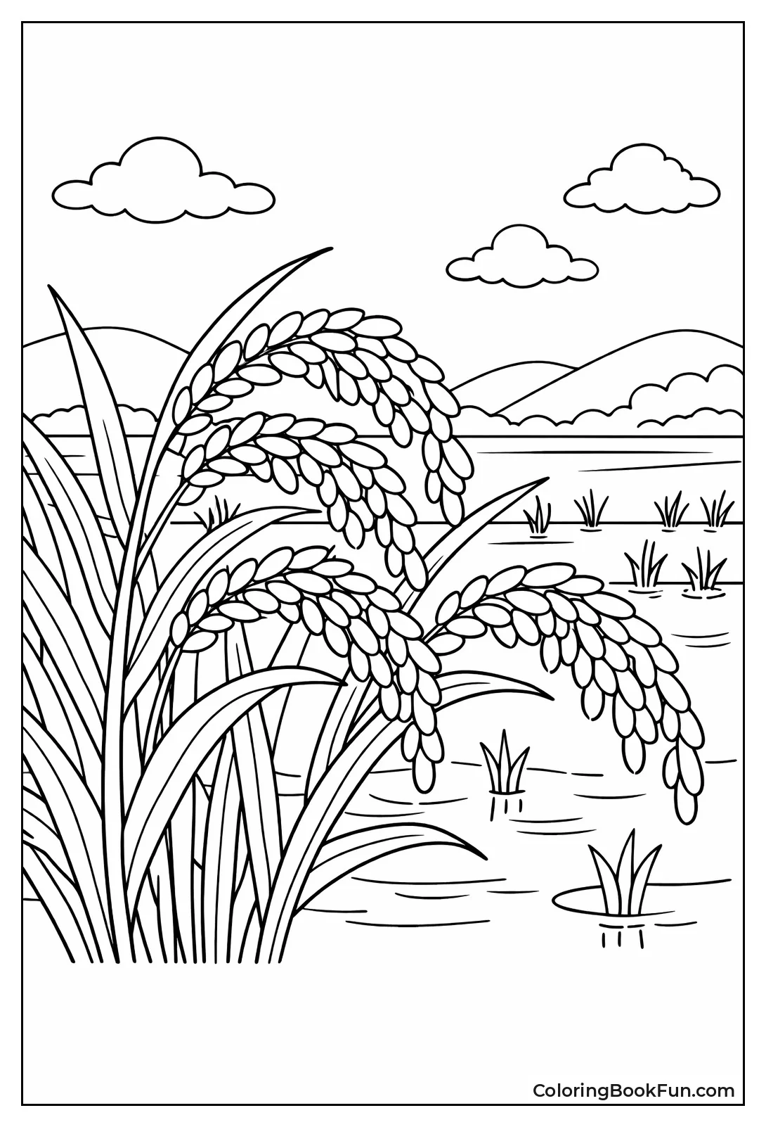 Graceful Rice in Paddy Field