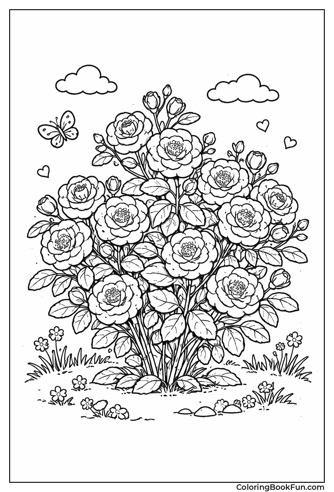 Polyantha Rose Sprays