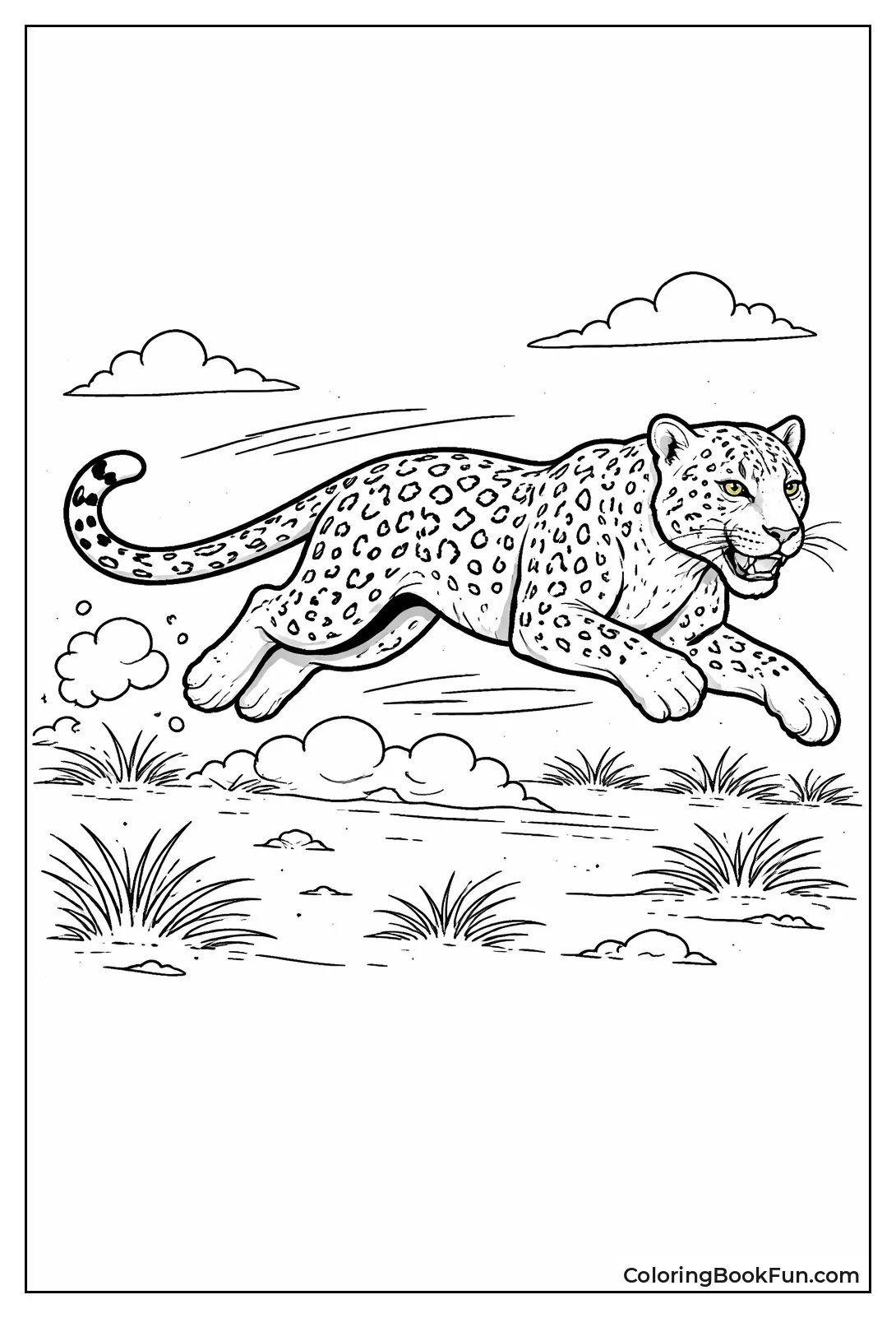 Leopard Sprinting Across Grassland
