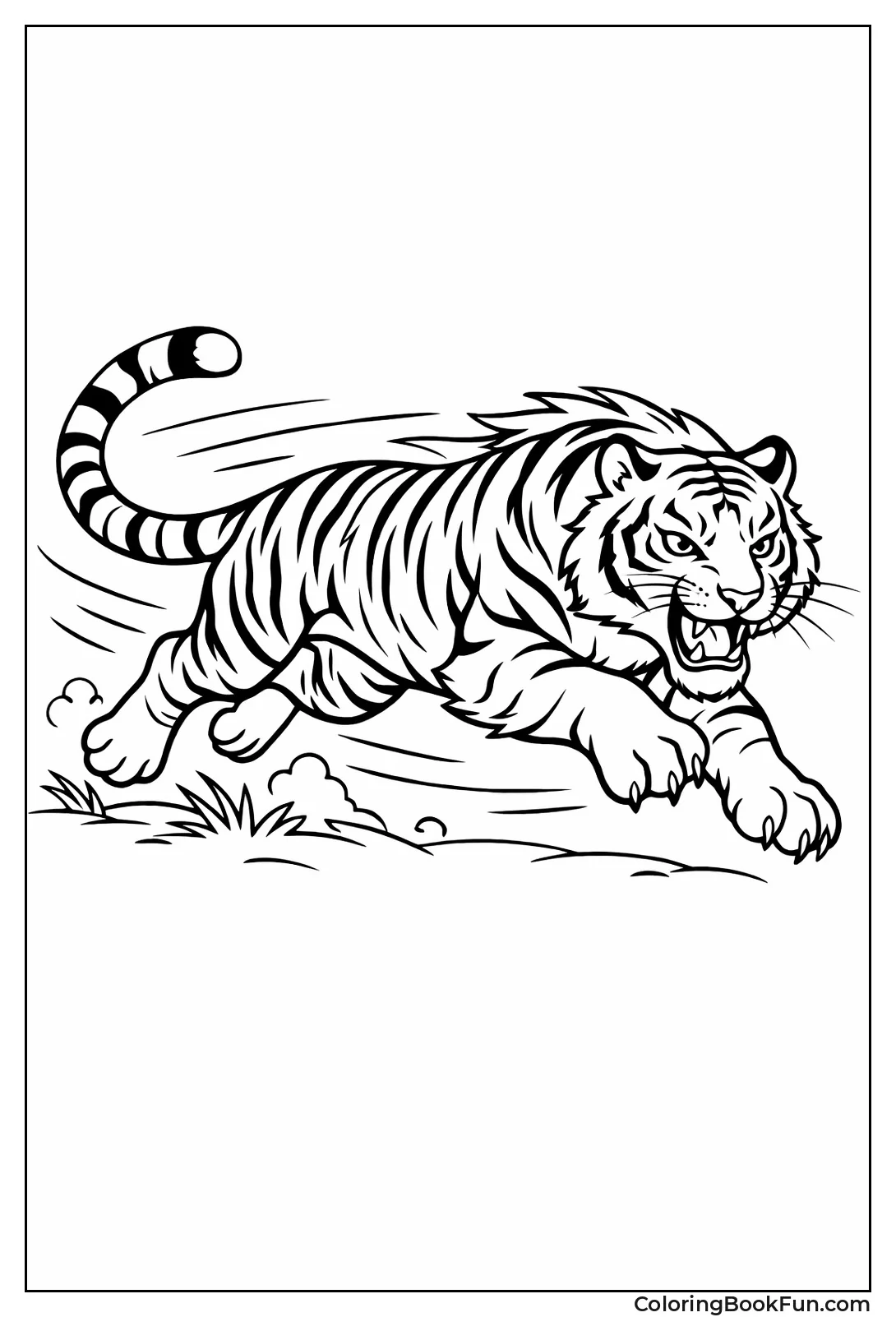 Running Action Tiger