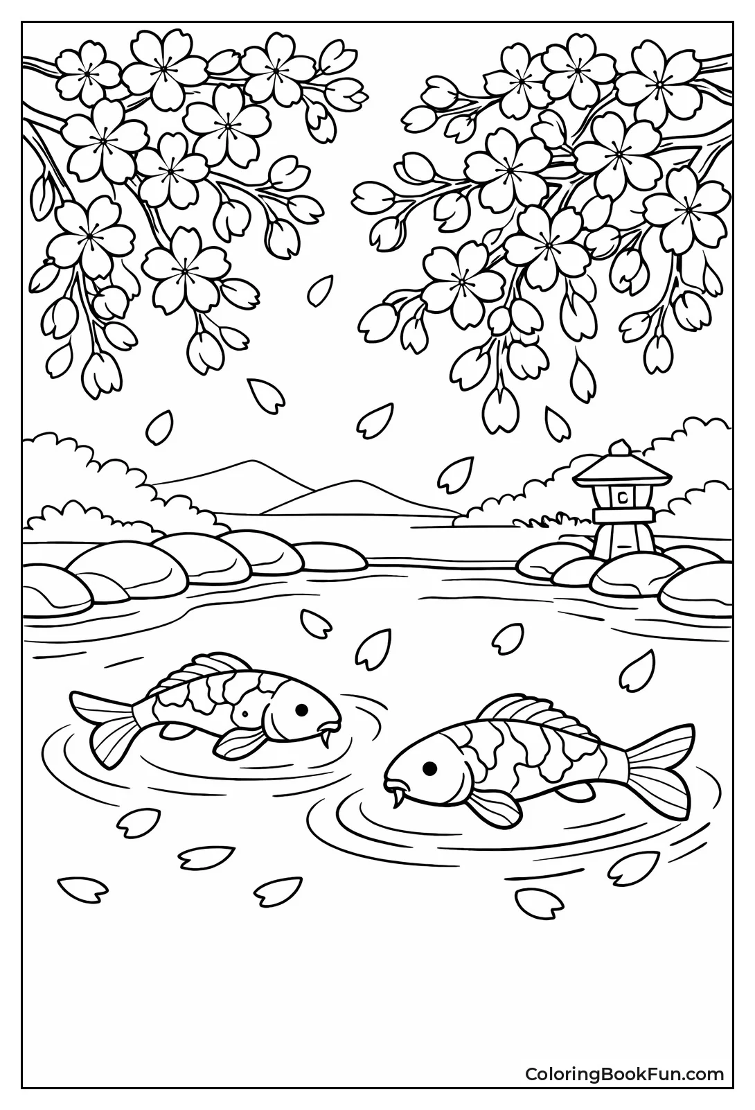 Koi under Sakura
