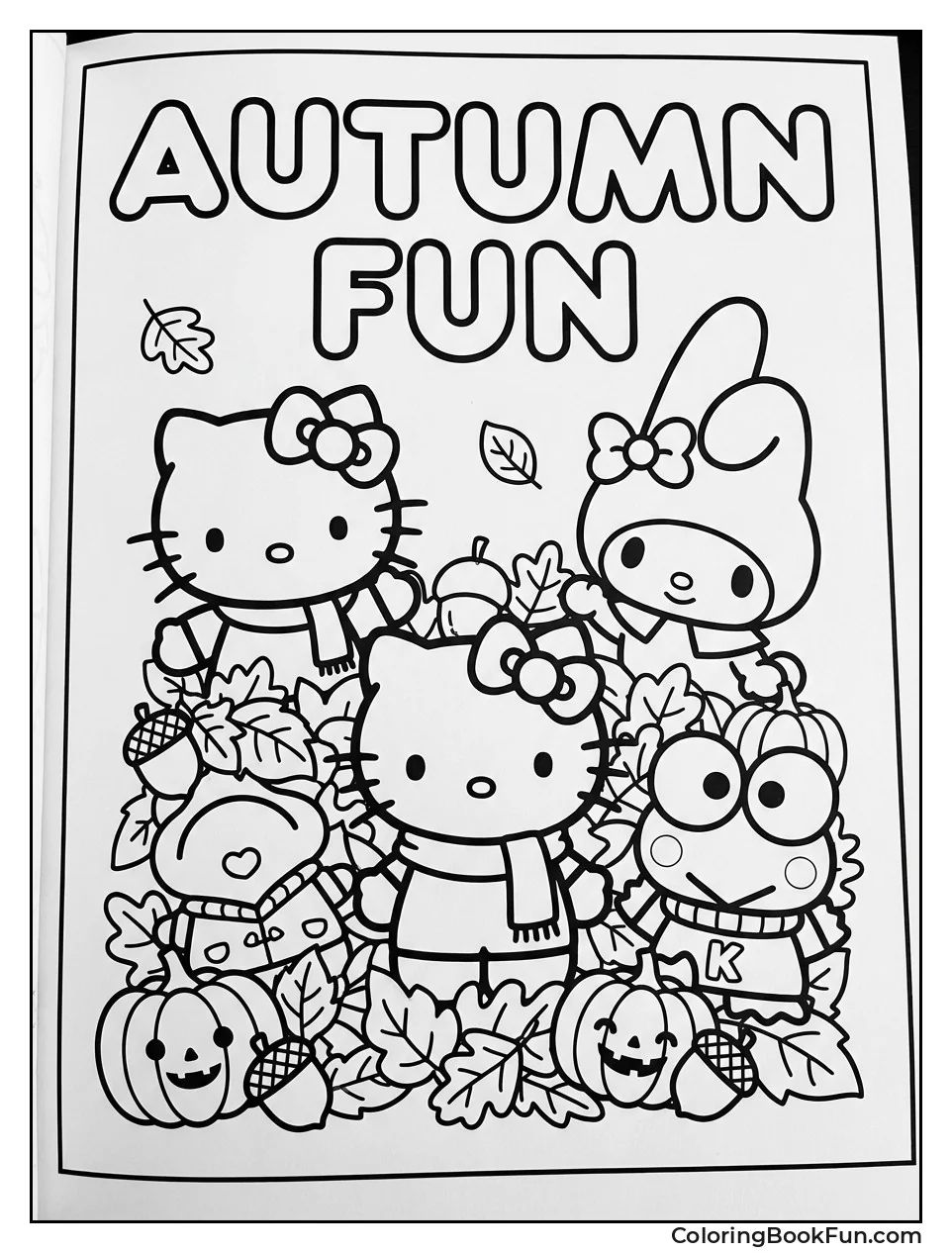 Sanrio with Fall Leaves