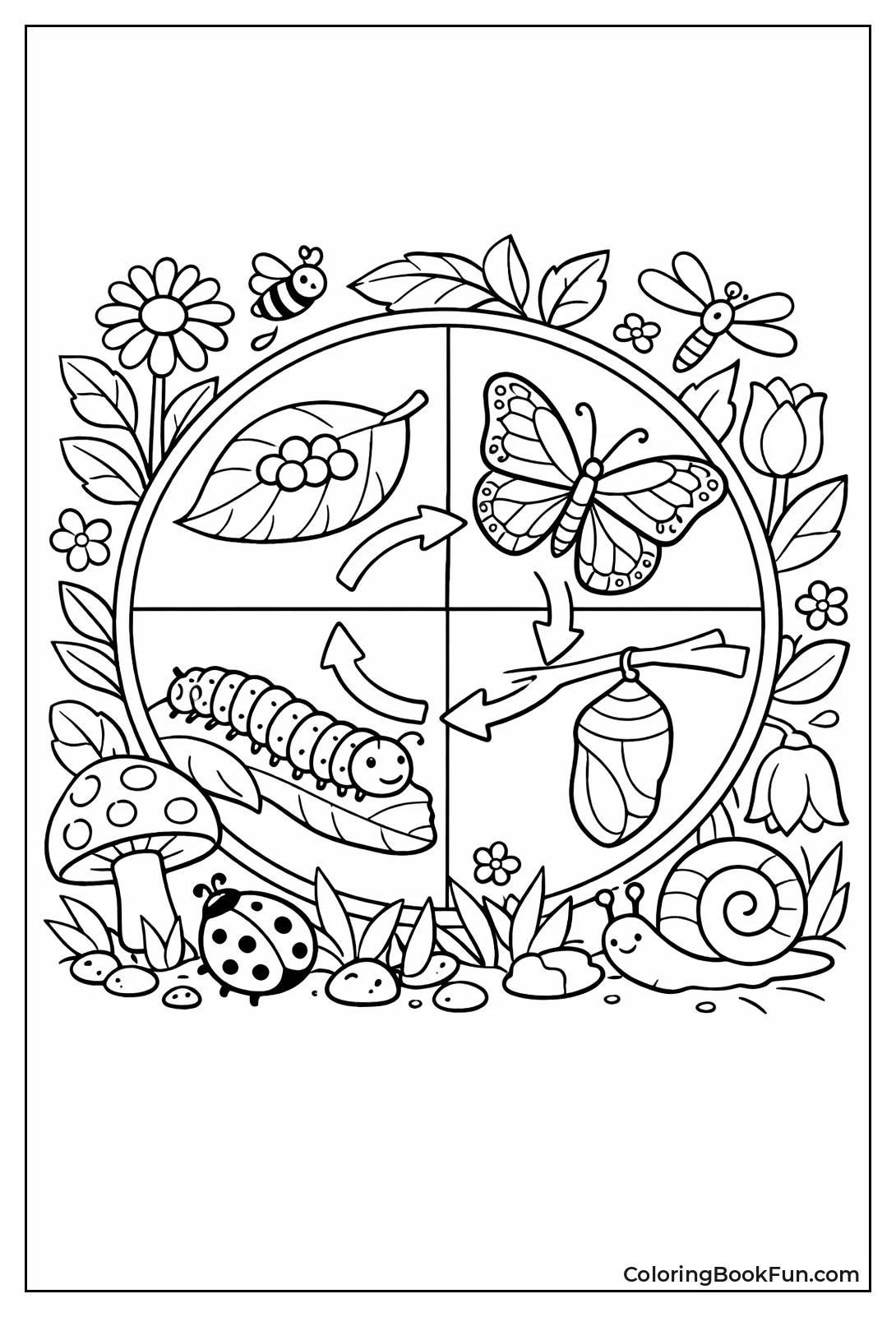 Butterfly Life Cycle in Garden