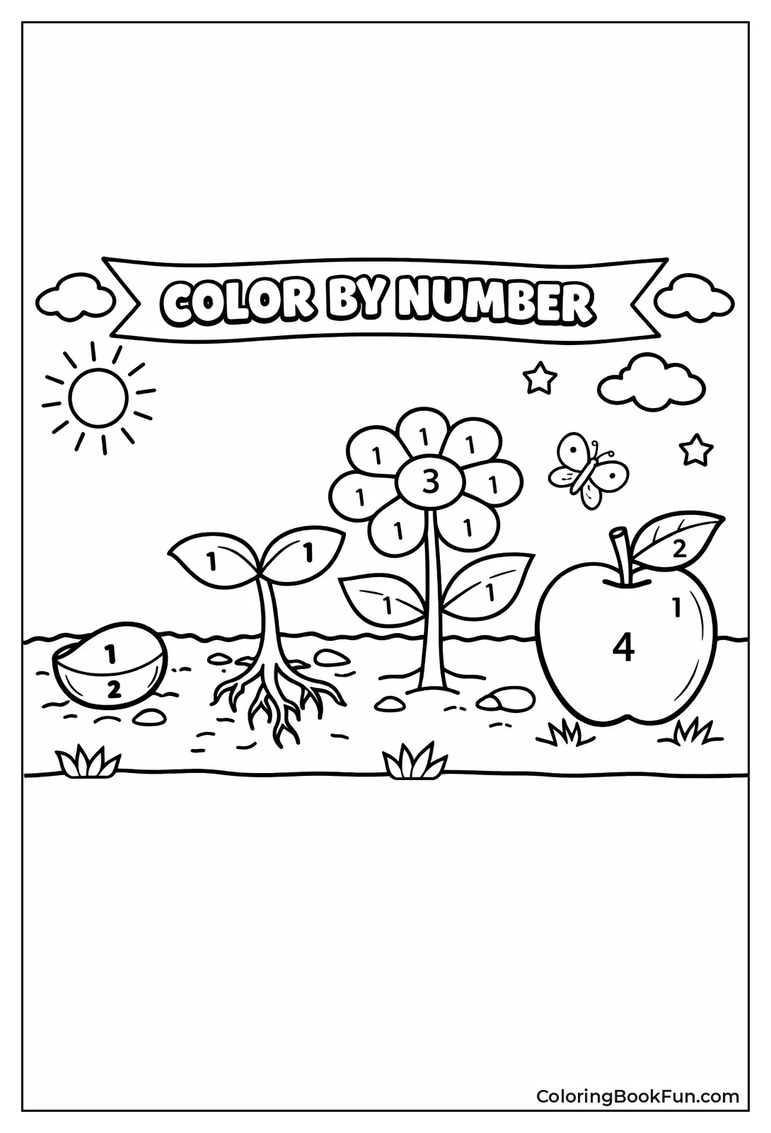 Plant Grows from Seed