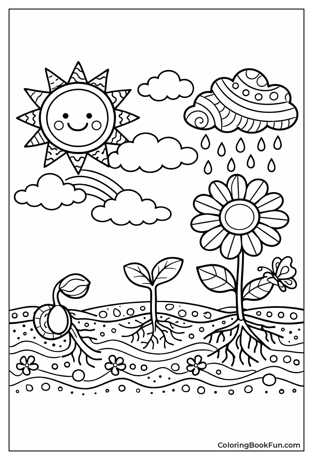 Seed Sprouts into Flower