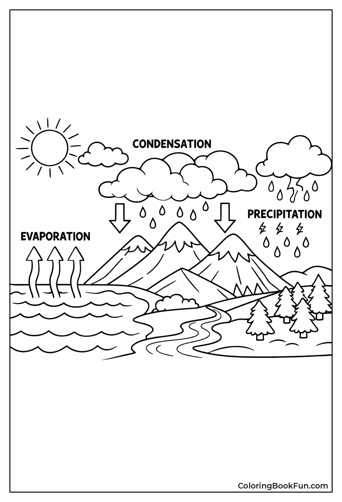 Water Cycle Over Mountains