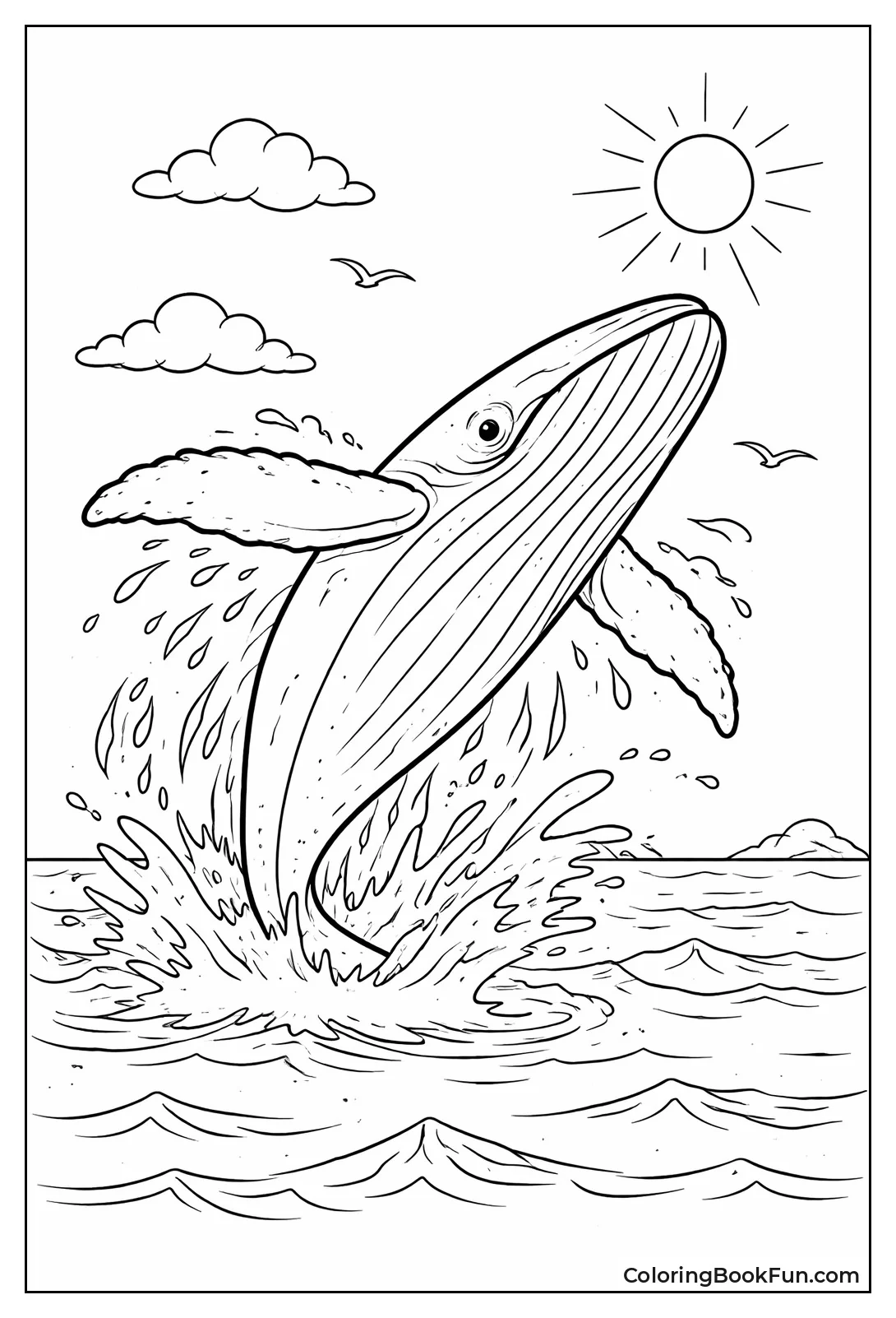 Humpback Whale Breaching High