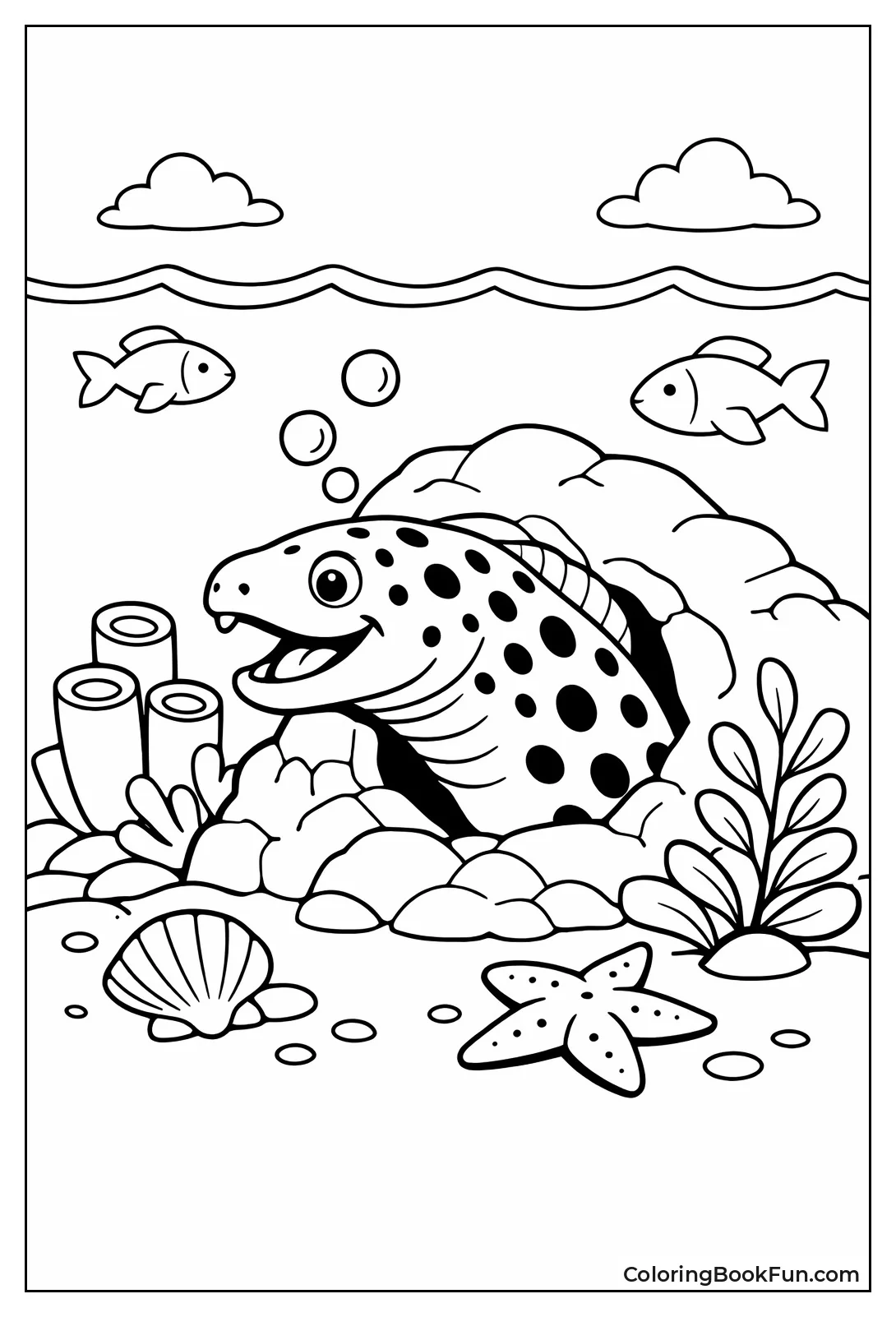 Moray Eel Peeking Out