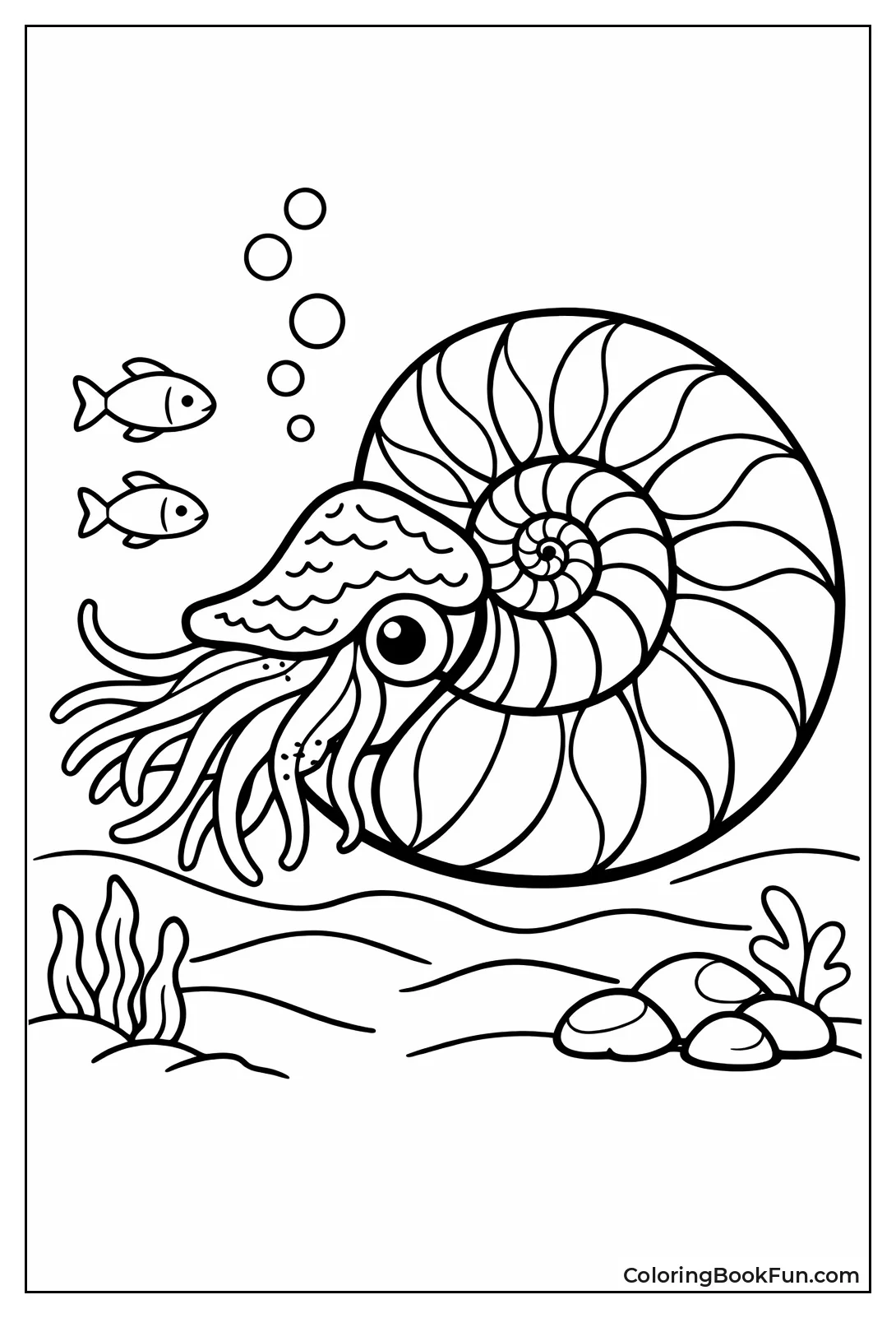 Spiral Nautilus with Tentacles