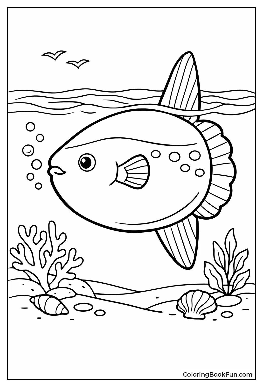 Ocean Sunfish Near Surface