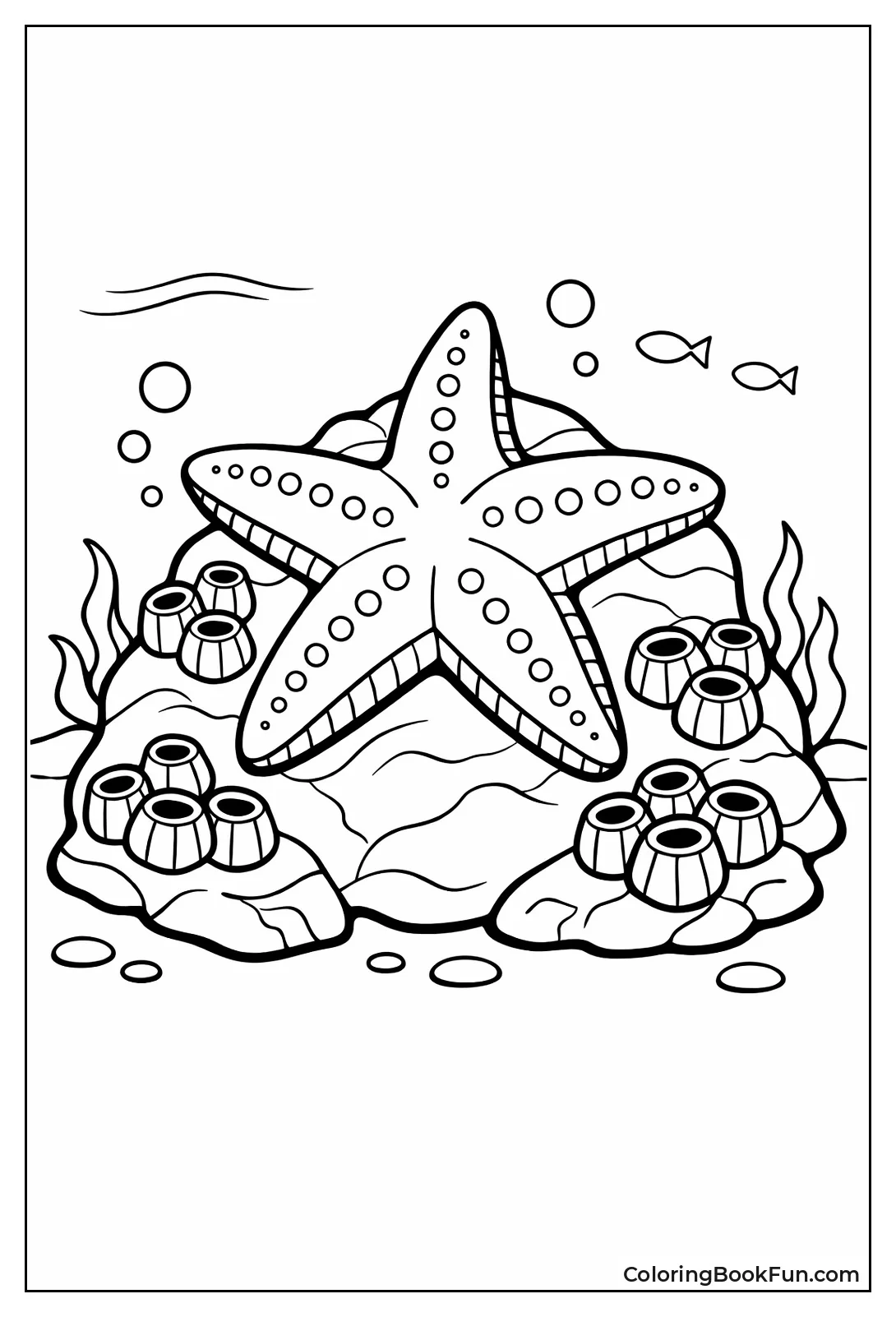 Starfish Clinging to Rock